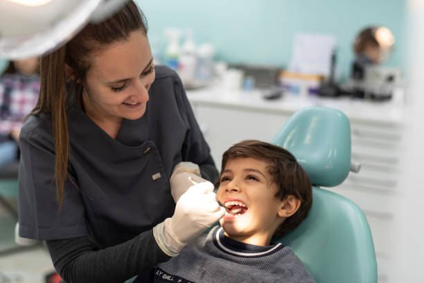Best Emergency Dental Care for Trauma or Injury in Harbor Springs, MI